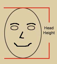 Head Height