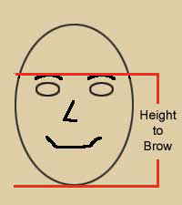 Height to Brow